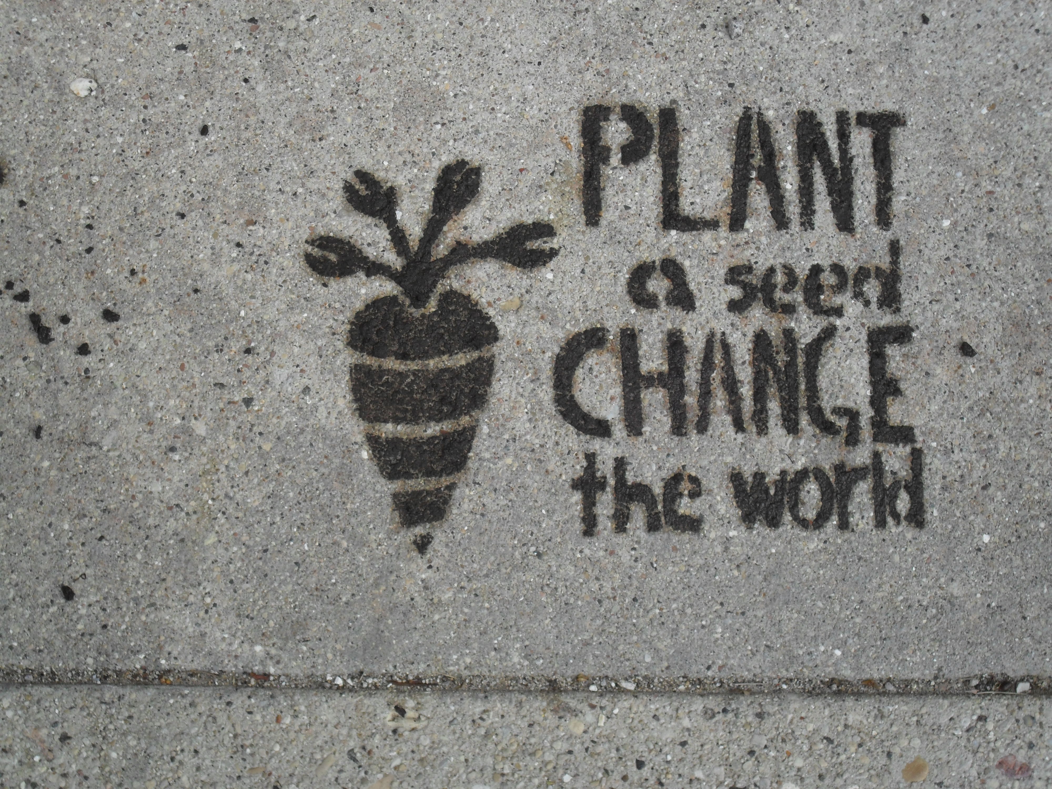 A students sustainable stencil print on a sidewalk reading "plant a seed, change the world"