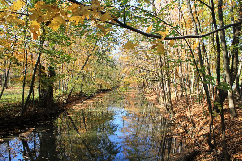 a photo of pike river and trees surrounding it during fall